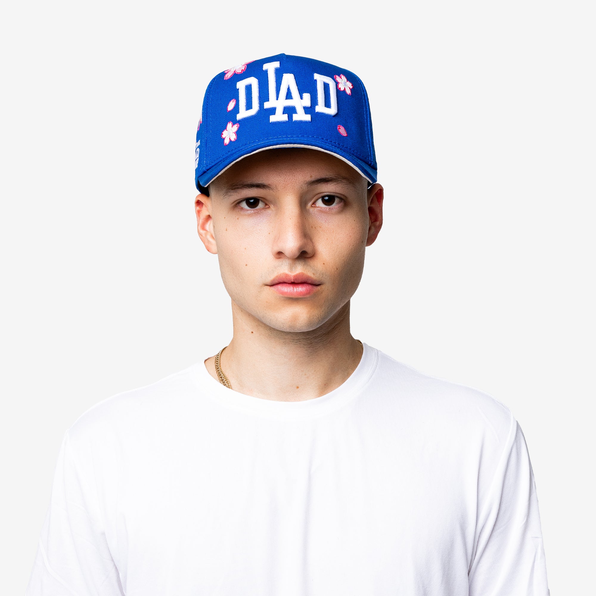 Dad Cap LA Hat - Blue